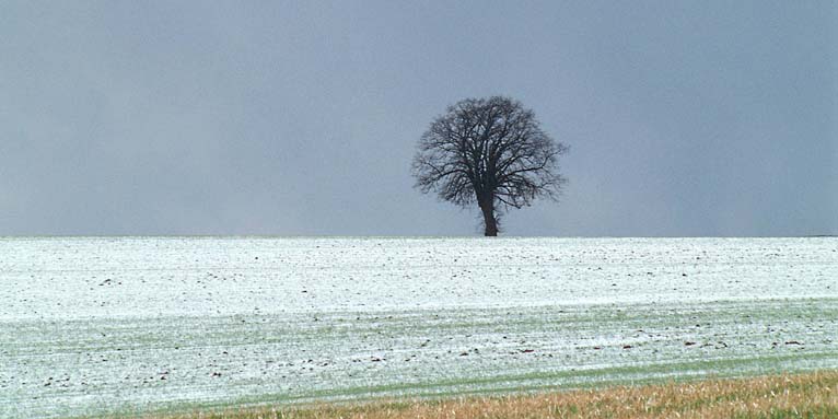 Winterlandschaft - Foto: Frank Grawe
