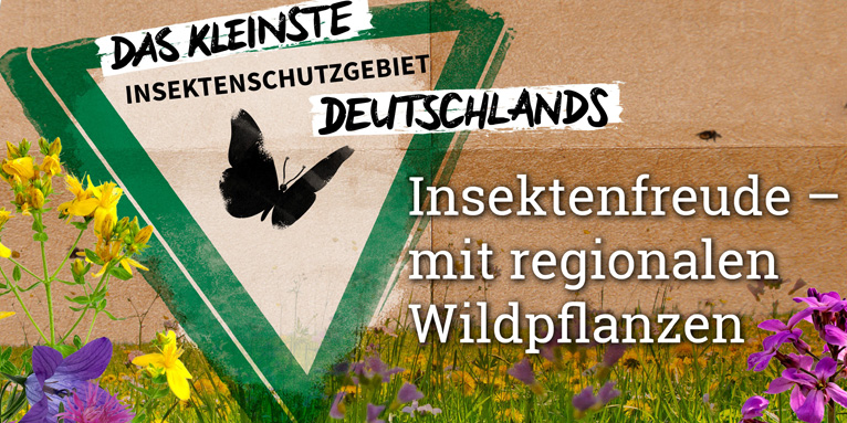 Keyvisual - „Insektenfreude – mit regionalen Wildpflanzen“ - Grafik: NABU-Naturschutzstation Niederrhein