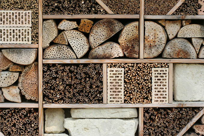 Insektennistwand - Foto: Helge May