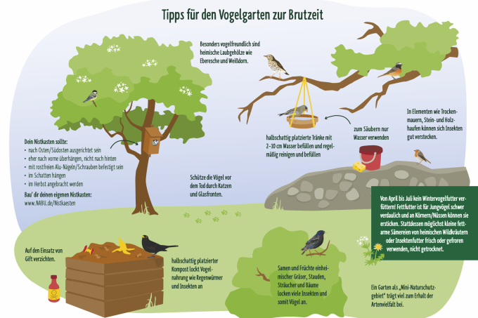 Tipps für den Vogelgarten zur Brutzeit. - Foto: NABU/publicgarden GmbH