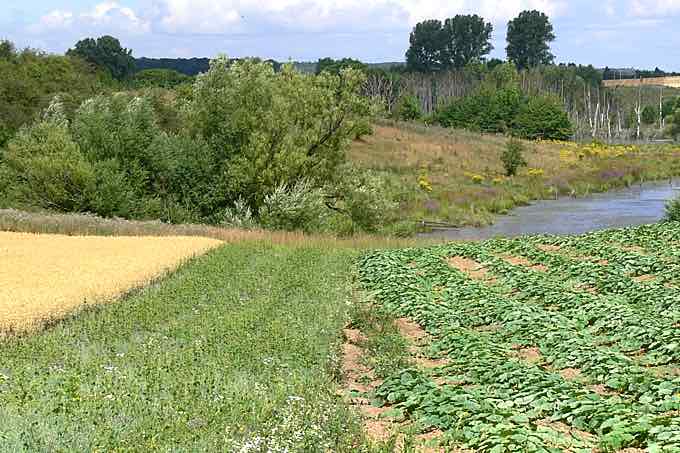 Ökologische Landwirtschaft - Foto: Ingo Ludwichowski