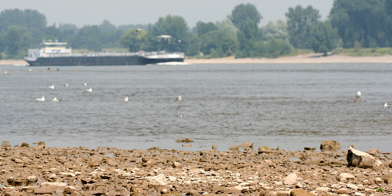 Der Rhein bei Niedrigwasser - Foto: Helge May