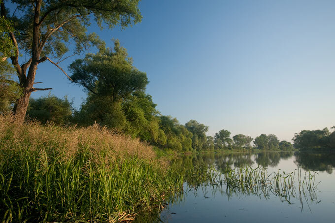 Renaturierung an der Havel - Foto: K. Karkow