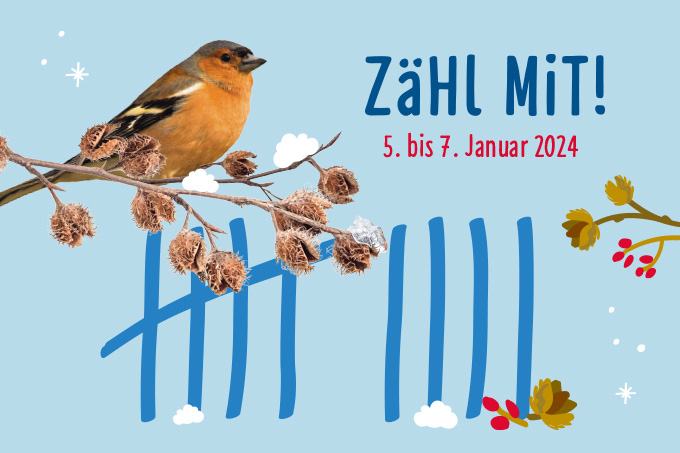 Stunde der Wintervögel 2024 - Grafik: NABU/publicgarden