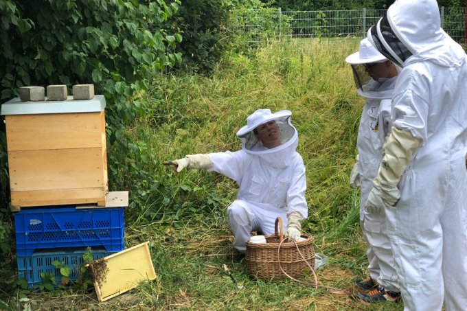 Die Imker-AG kümmert sich um die Bienenvölker im Schulgarten - Foto: Lisa Schüll