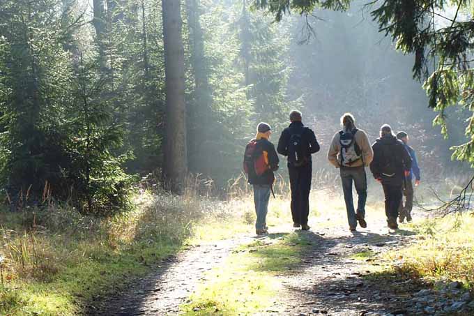 Wanderer im Teutoburger Wald - Foto: Dirk Tornede