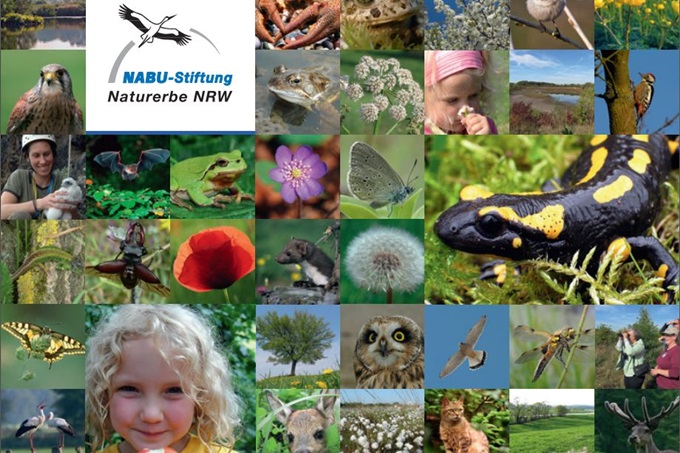 NABU-Stiftung Naturerbe NRW - Motiv: NABU NRW