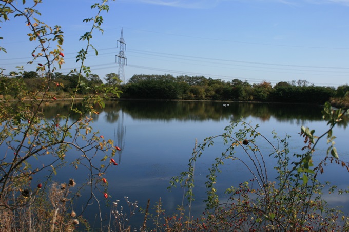 Herbstlicher Teich - Foto: Beate Schlichting
