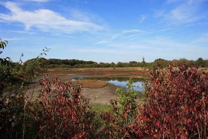 Herbstzauber am Teich - Foto: Beate Schlichting