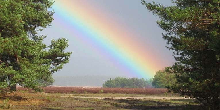 Regenbogen - Foto: Ute Roeder