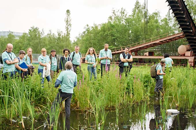 Besuchergruppe während einer Führung am Artenschutzgewässer auf Zollverein - Foto: Benne Ochs/GEO