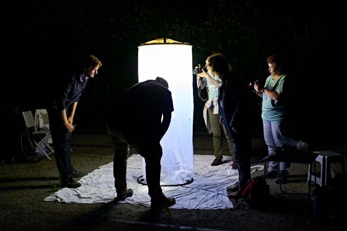 Untersuchung an einer Lichtfalle - Foto: Benne Ochs/GEO