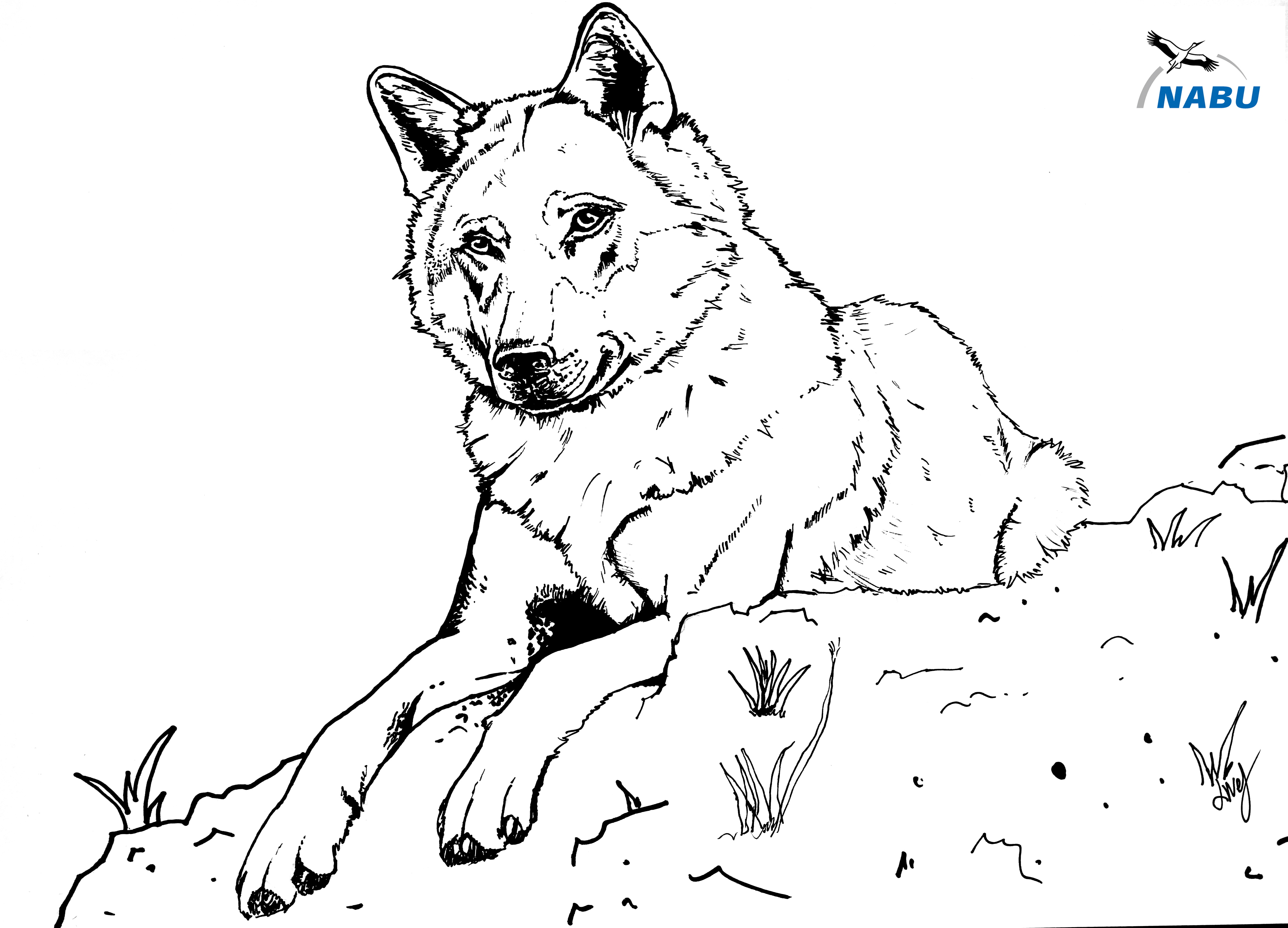 79 Ausmalbilder Erwachsene Pdf Wolf | Ausmalbilder