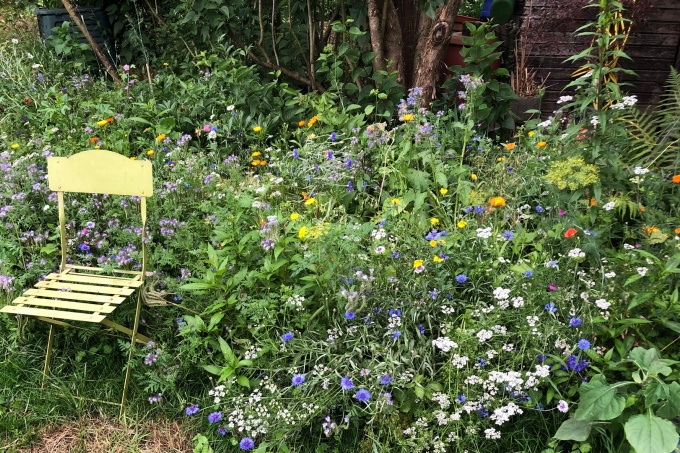 Im Garten von Maren Bendel