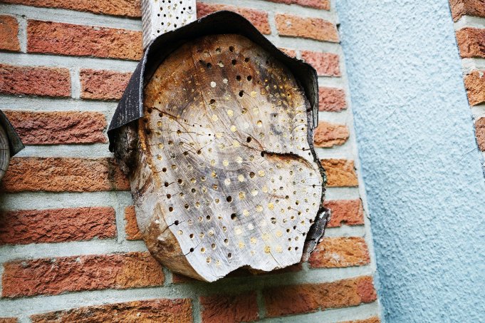Selbstgebautes Insektenhotel - Foto: Sarah Schramme