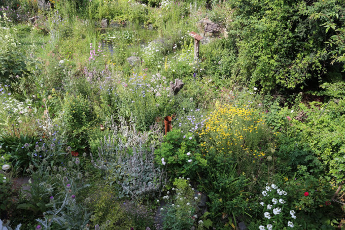 Der bunt blühende Naturgarten bietet zu jeder Jahreszeit Nahrung für Insekten - Foto: Frank Reh