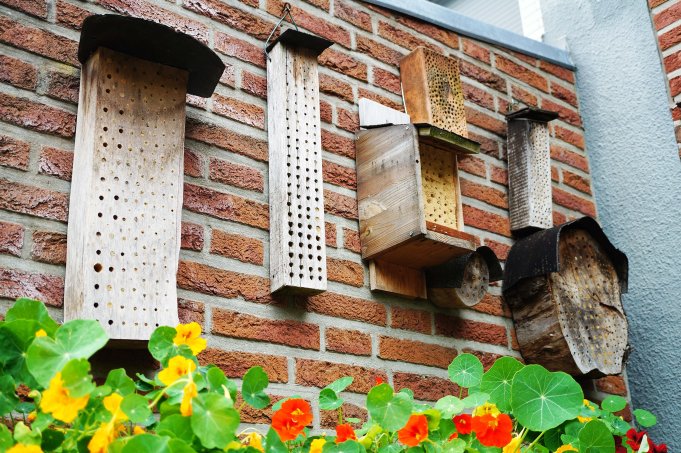 Selbstgebaute Insektenhotels - Foto: Sarah Schramme