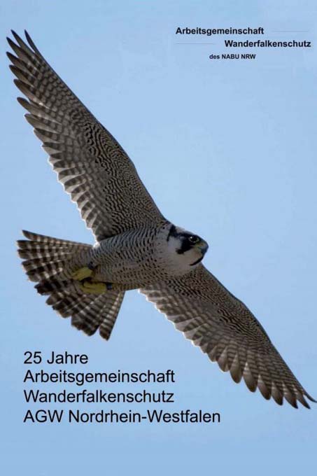 AG Wanderfalkenschutz Jahrbuch 2013