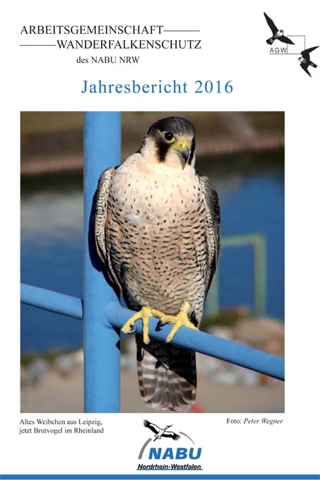 AG Wanderfalkenschutz Jahresbericht 2016