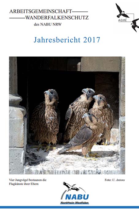 AG Wanderfalkenschutz Jahresbericht 2017