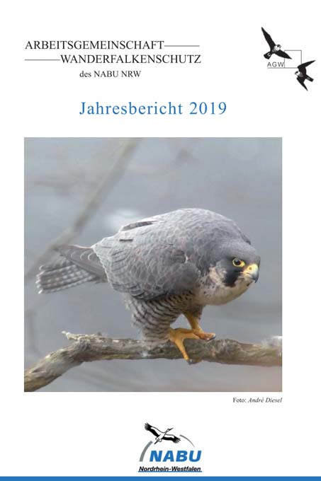 AG Wanderfalkenschutz Jahresbericht 2019