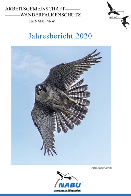 AG Wanderfalkenschutz Jahresbericht 2020
