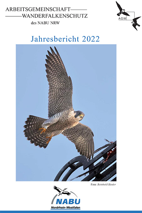 AG Wanderfalkenschutz Jahresbericht 2022