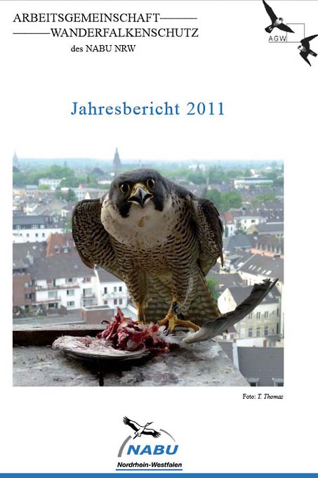 AG Wanderfalkenschutz Jahresbericht 2011