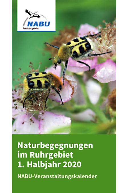Naturbegegnungen im Ruhrgebiet