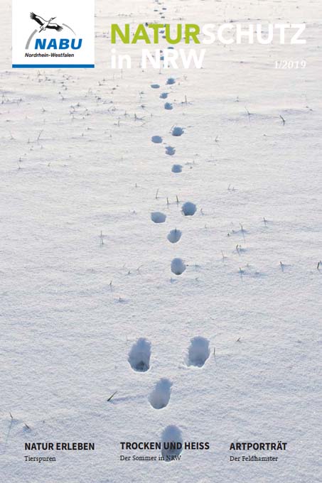 Titel 1/2019: Hasenspur im Schnee - Foto: Naturfoto Frank Hecker