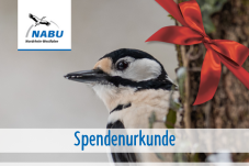 Spendenurkunde: Specht