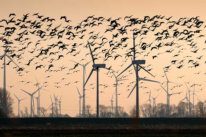 Windräder - Foto: Kranidi/Adobe Stock 